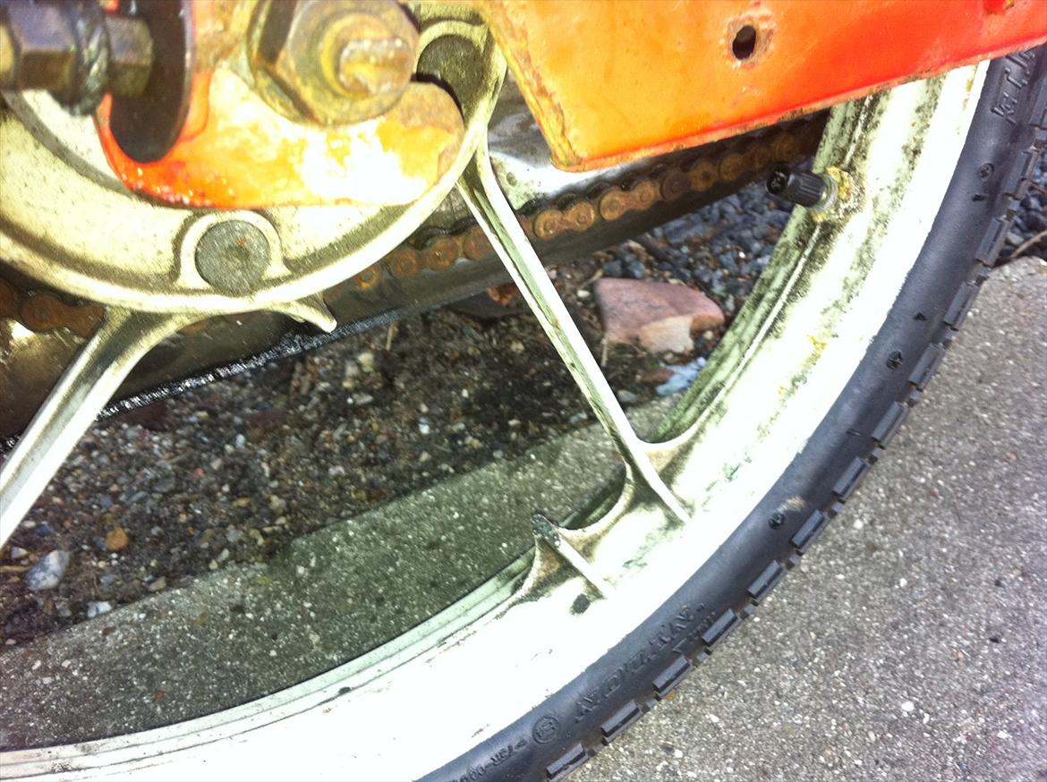 Puch maxi jubilæums model billede 6