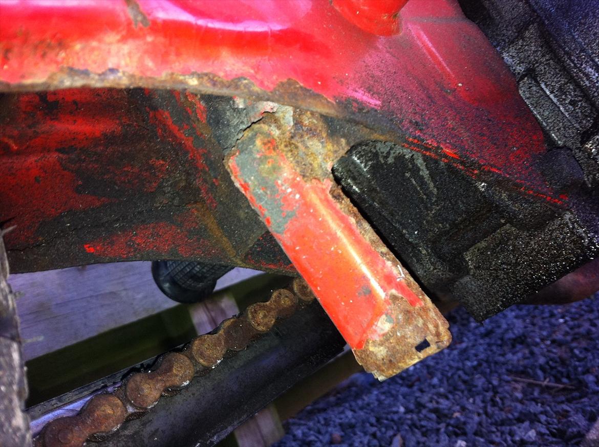 Puch maxi jubilæums model billede 8