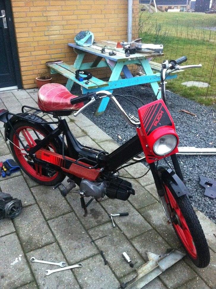 Puch night rider  - sådan så den ud da den blev solgt, smuk det var den altså!  billede 6