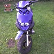 PGO Pmx