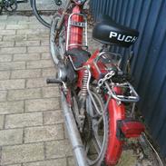 Puch maxi kl
