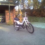 Puch Maxi kl