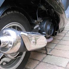 Peugeot V-clic *SOLGT*