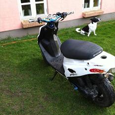 PGO Hot 50 [Tidl. scooter]