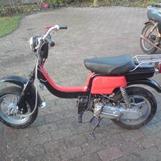Suzuki fz 50