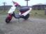 PGO hot 50