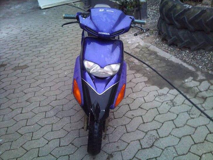 Honda sfx billede 2