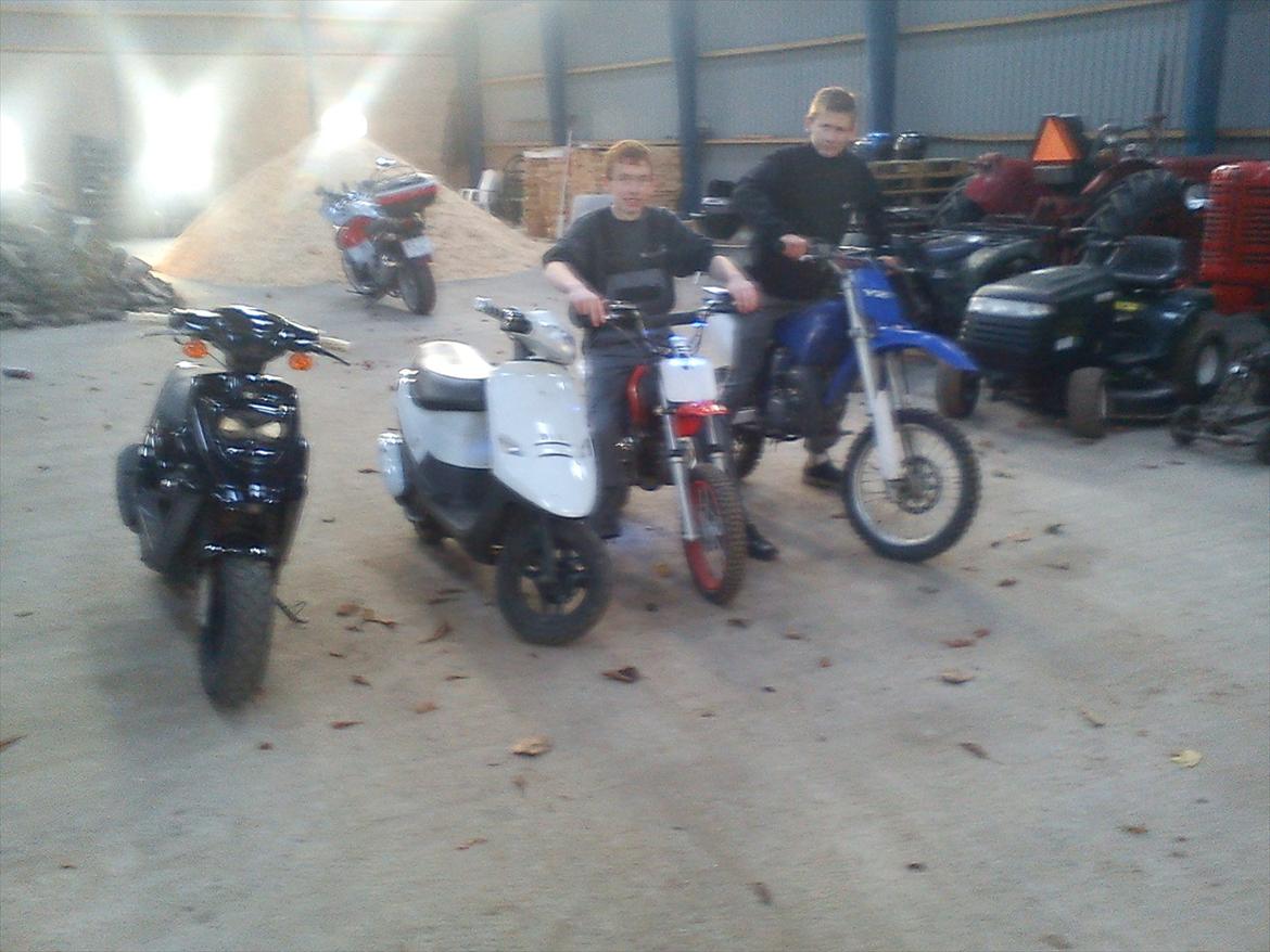 PGO Hot 50 - Den hvide er en PGO Comet som er min vens.. De to crosser er min anden vens billede 4