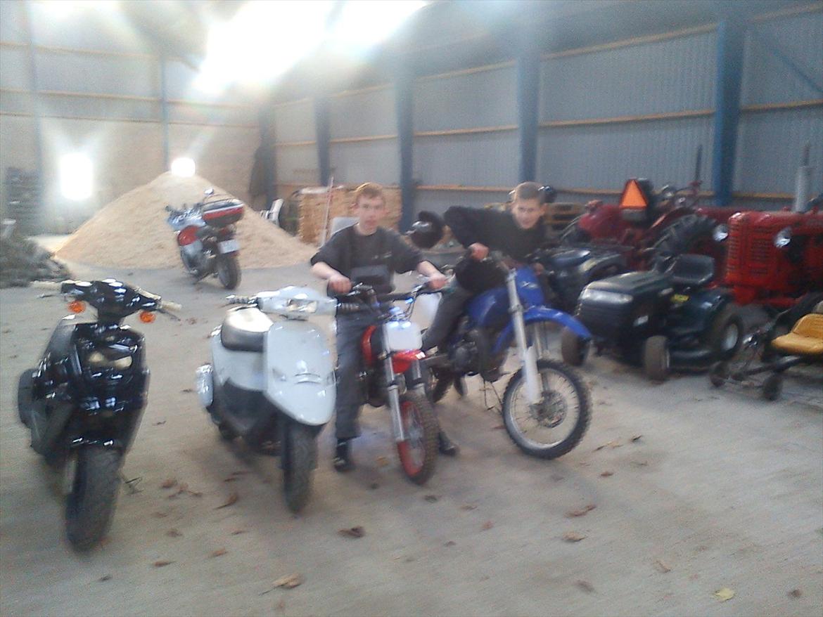 PGO Hot 50 billede 5