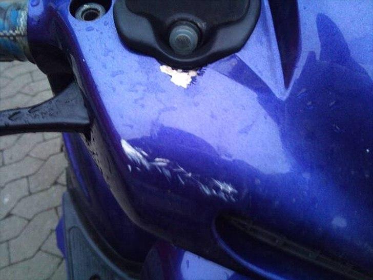 Honda sfx billede 13