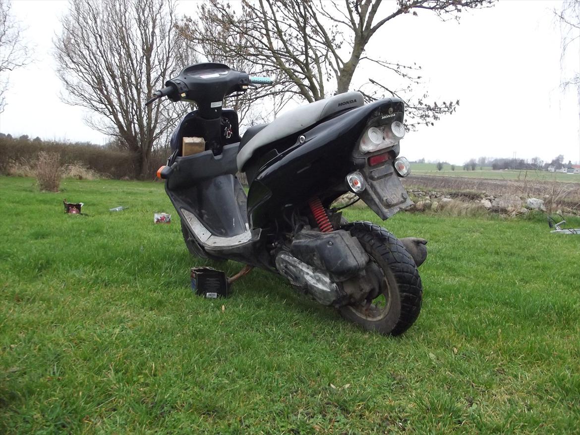 Honda SFX solgt billede 7