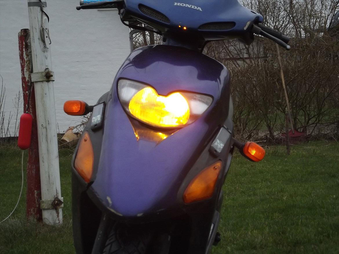 Honda SFX solgt billede 11
