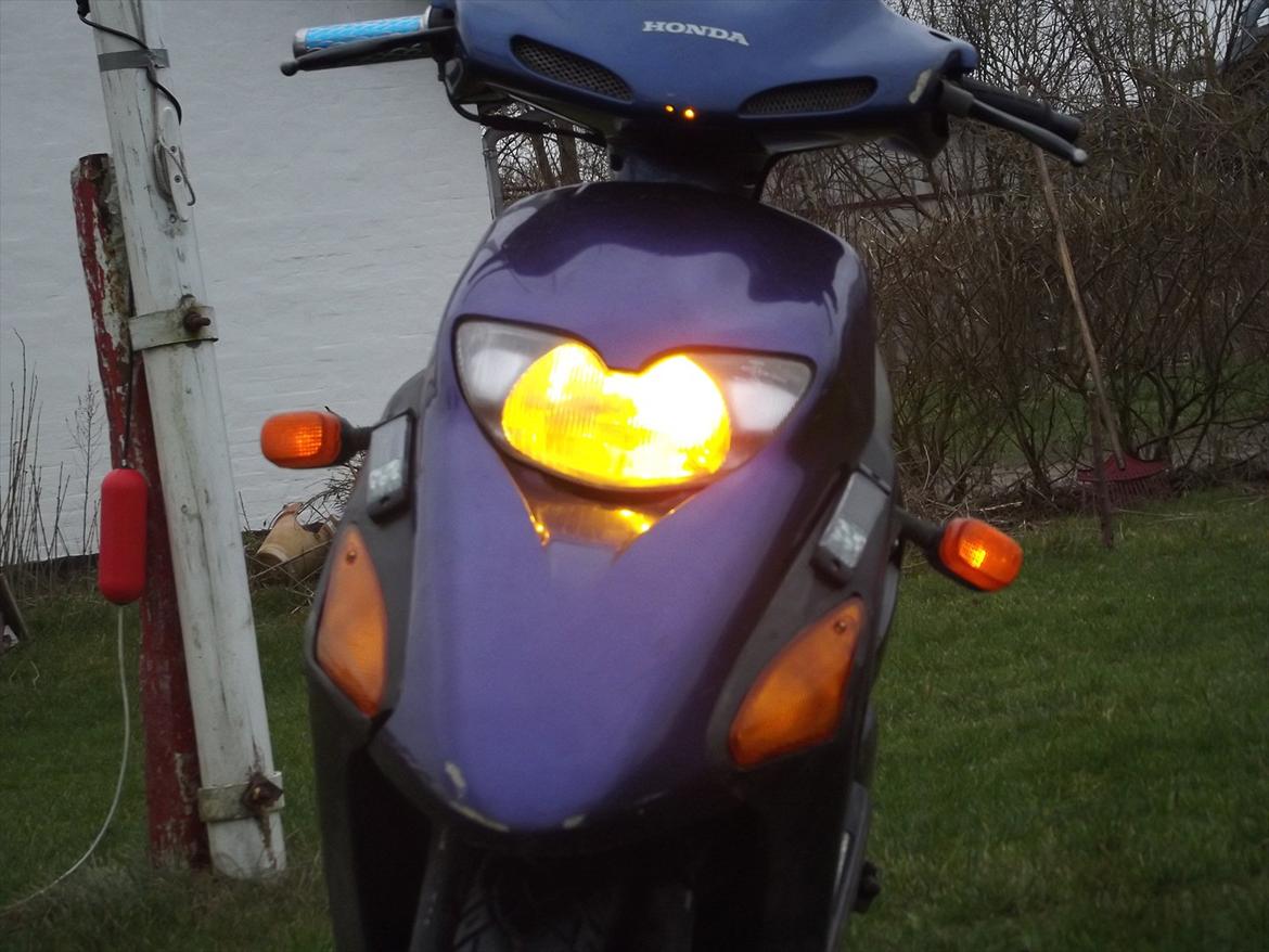 Honda SFX solgt billede 12