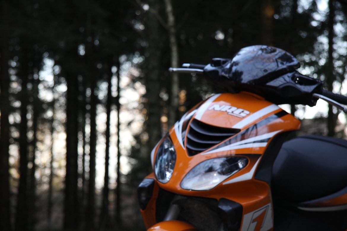 Piaggio NRG Power DT nyreonoveret billede 2