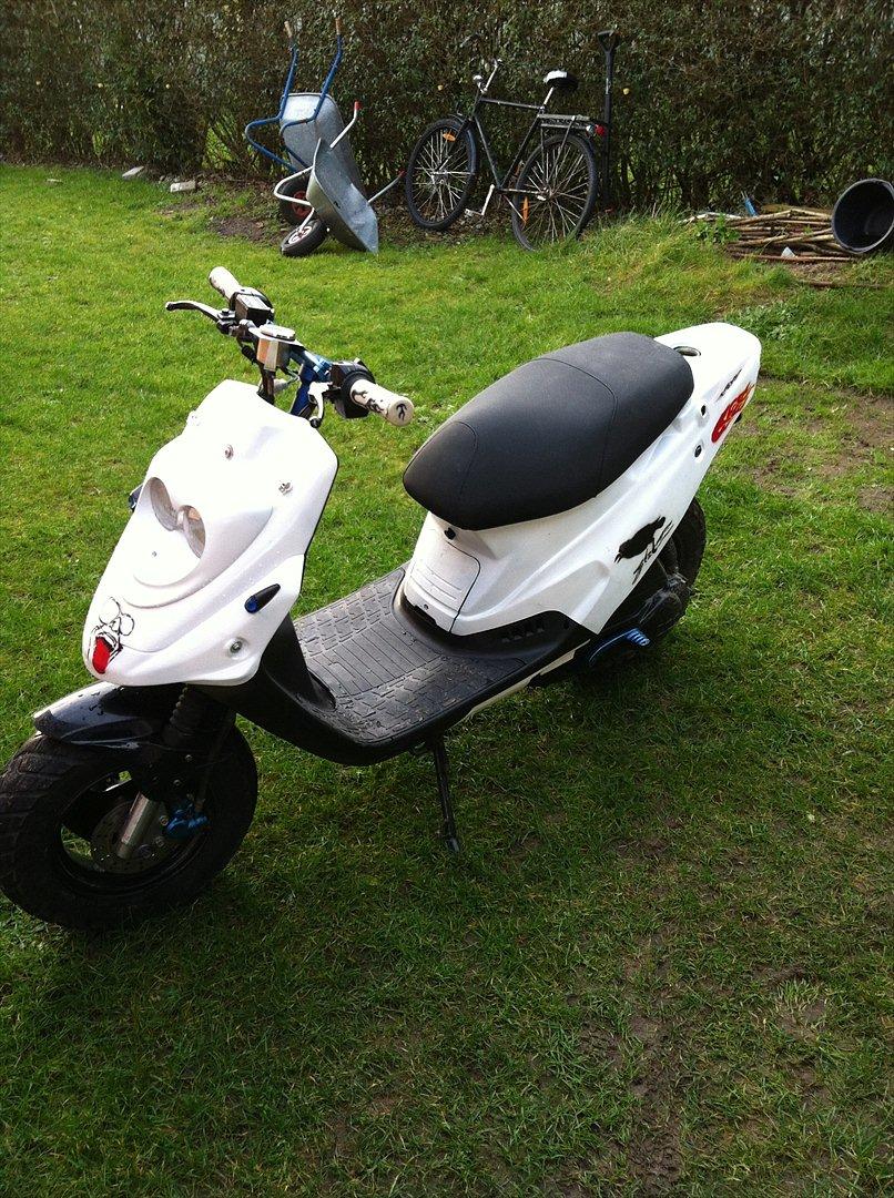 PGO Hot 50 [Tidl. scooter] billede 1