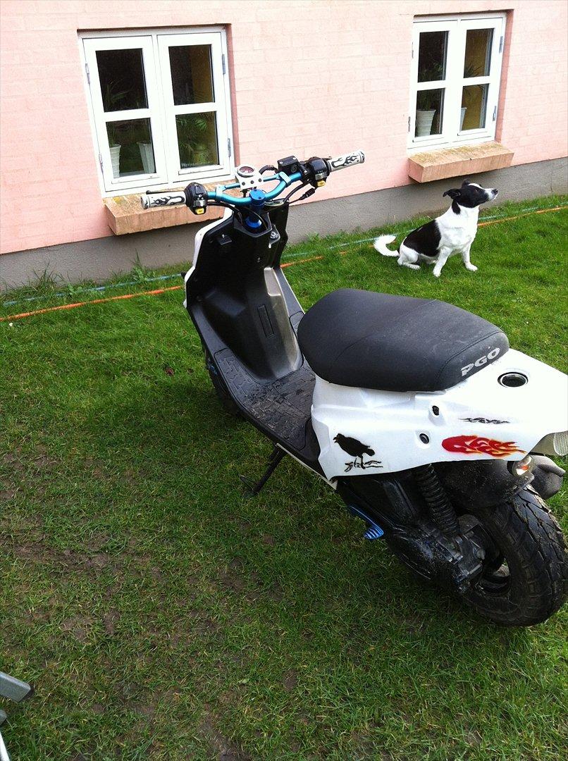 PGO Hot 50 [Tidl. scooter] billede 3