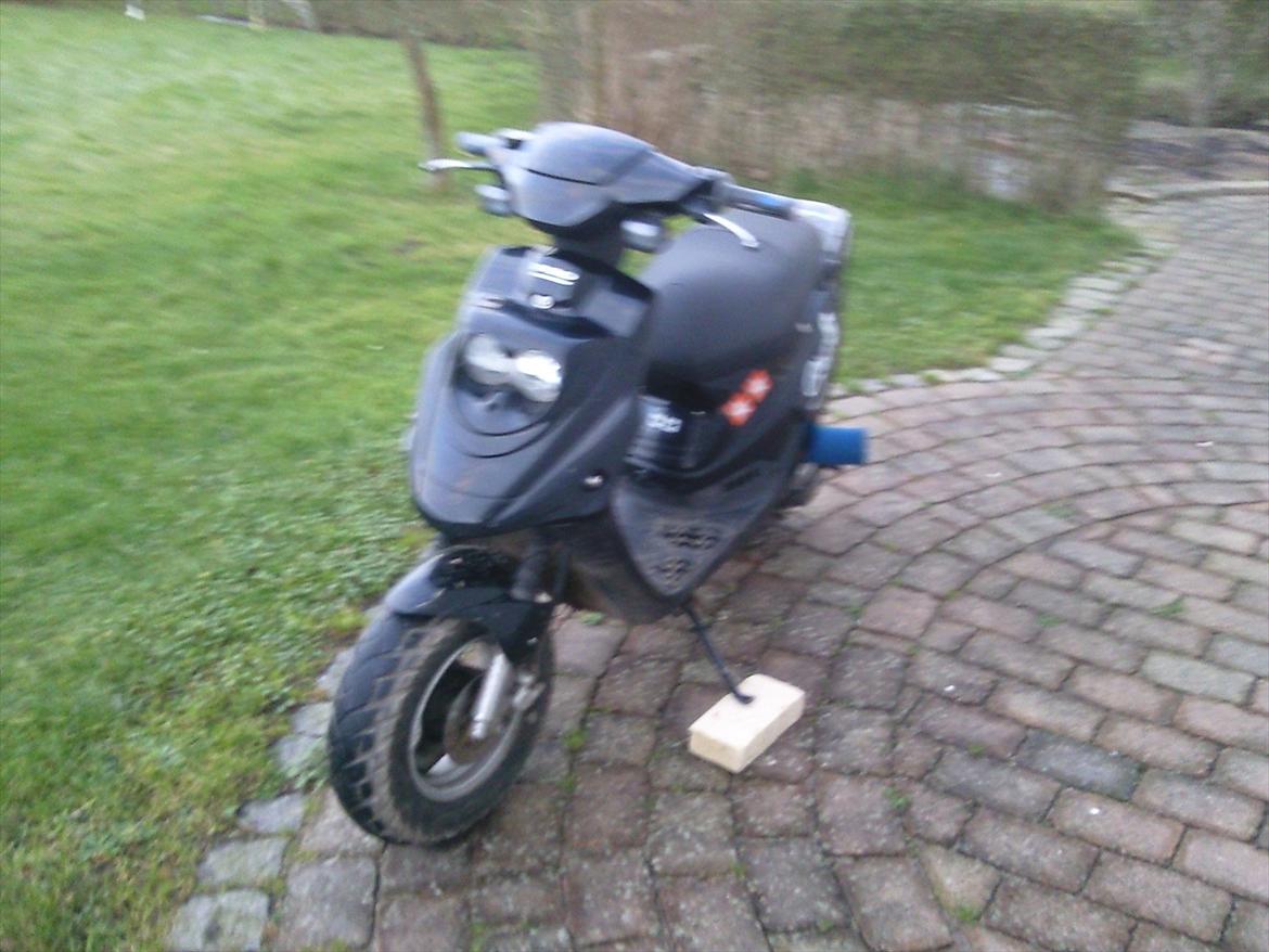 PGO hot 50 polini corsa billede 1