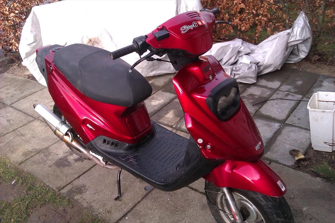 PGO Hot 50 billede 1