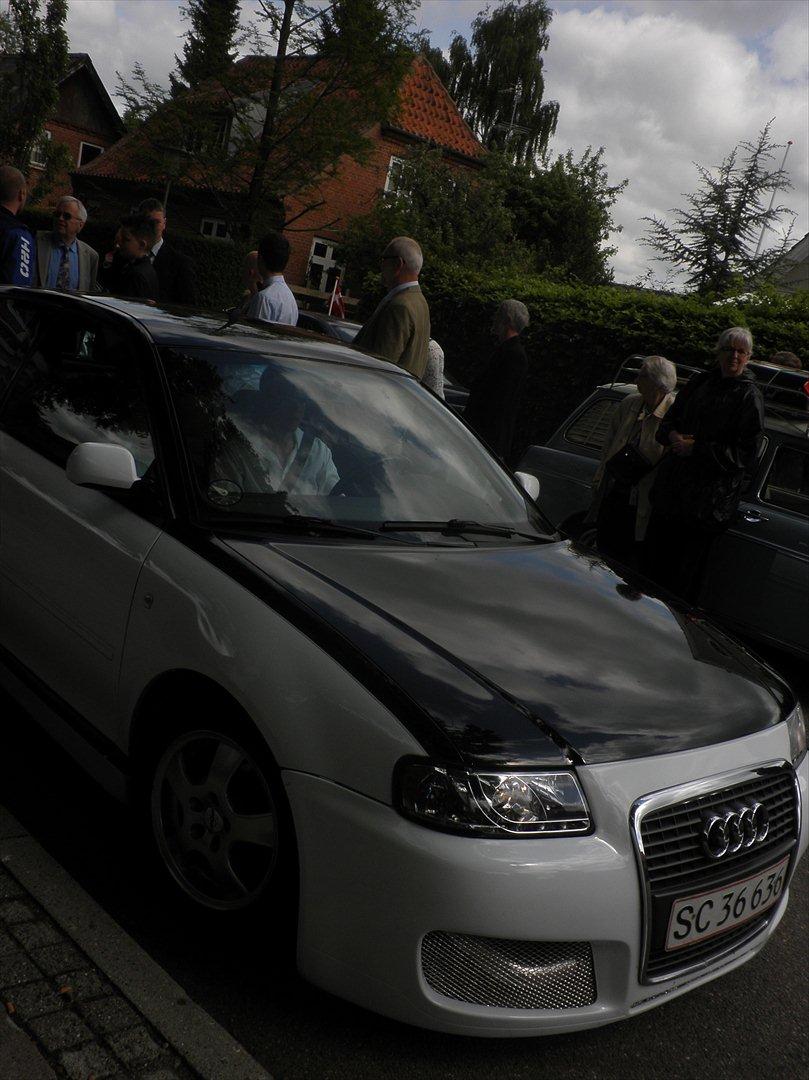 PGO Hot 50  billede 4