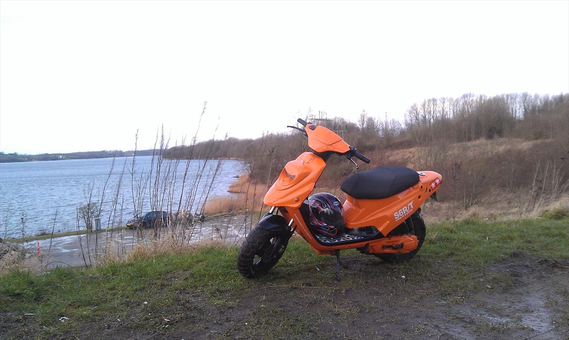 PGO Hot 50 "ORANGE HERO" billede 2