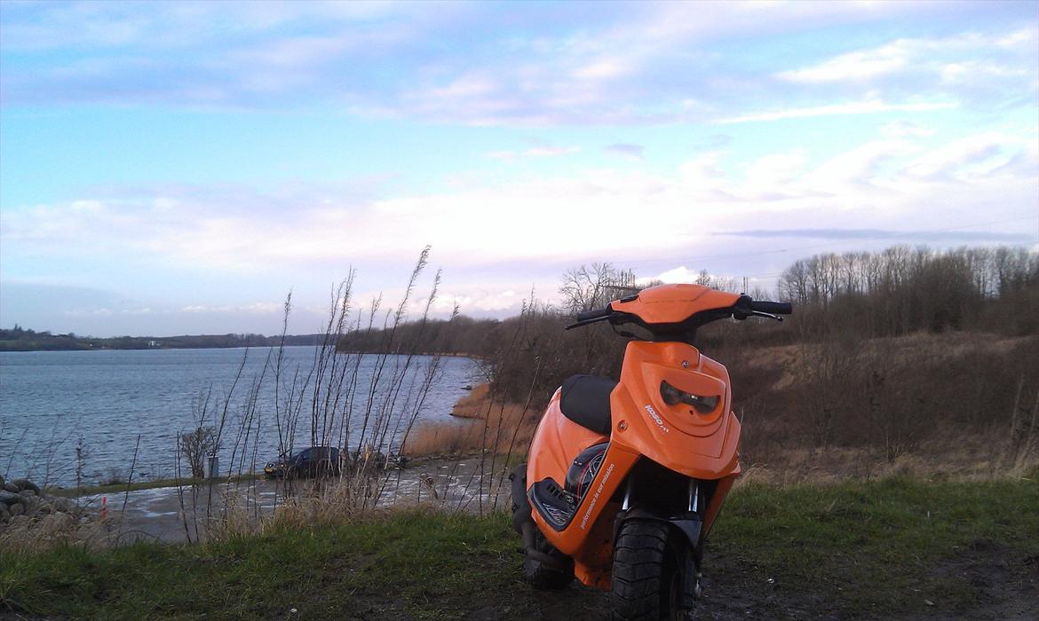 PGO Hot 50 "ORANGE HERO" billede 3