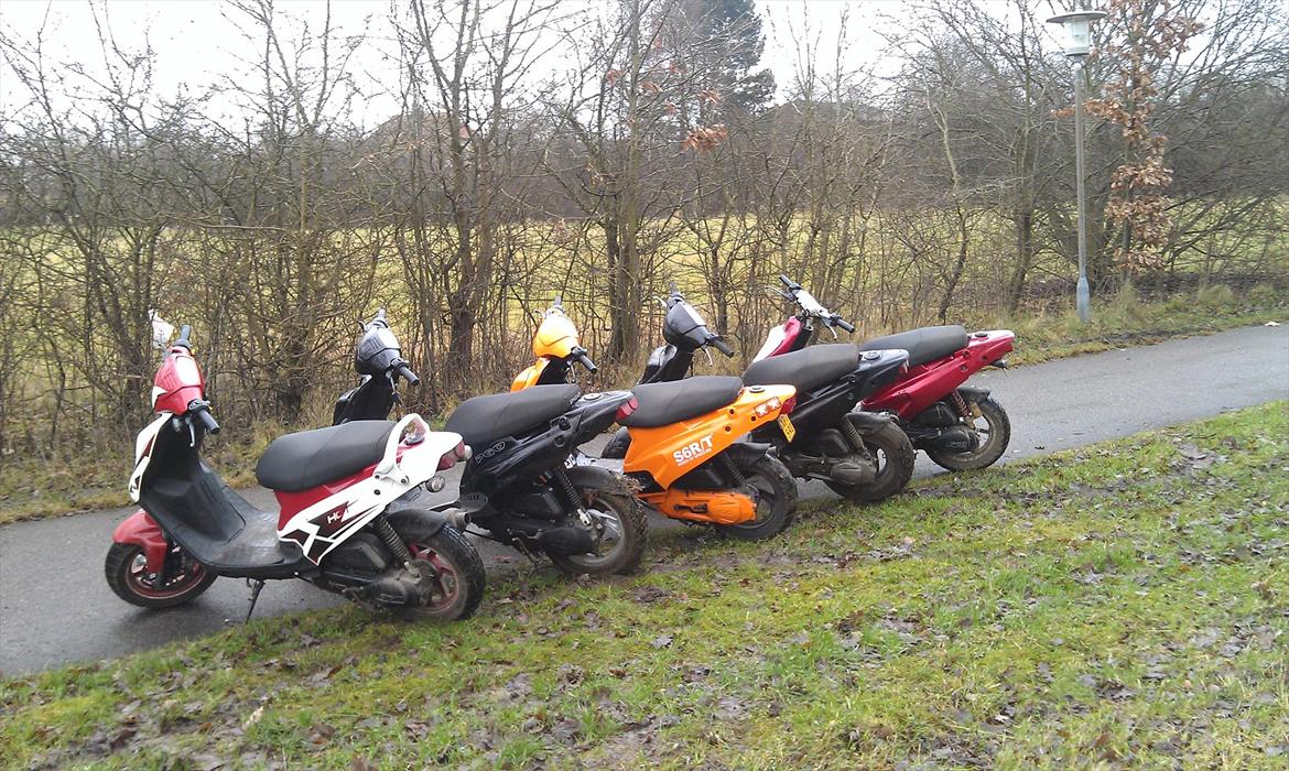 PGO Hot 50 "ORANGE HERO" billede 5