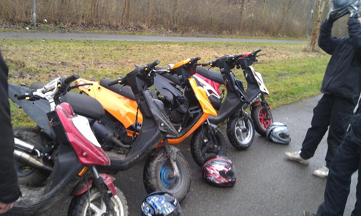 PGO Hot 50 "ORANGE HERO" billede 6