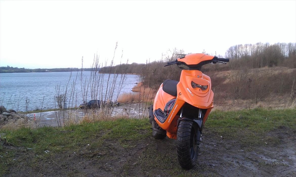 PGO Hot 50 "ORANGE HERO" billede 7