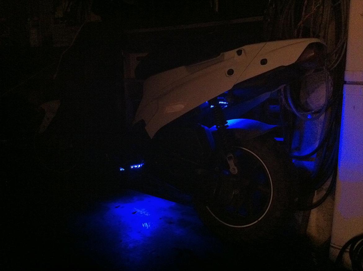 PGO Hot 50 - dioderør blå (Y)
15cm billede 10