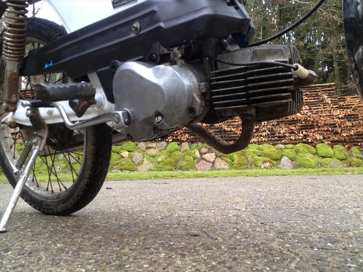 Puch Maxi kl billede 11