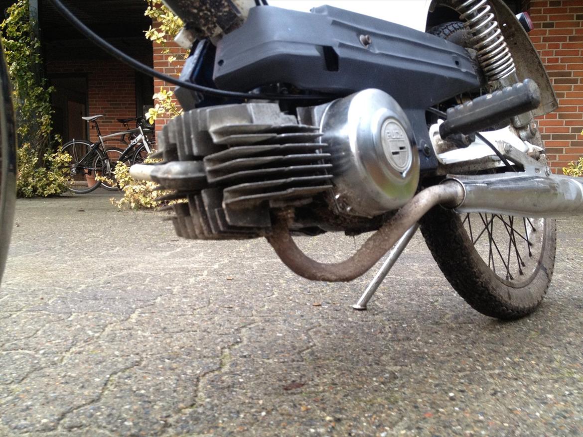 Puch Maxi kl billede 10