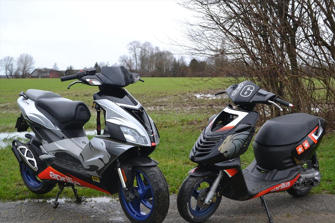 Aprilia Sr50 R Factory "Gribben" billede 16