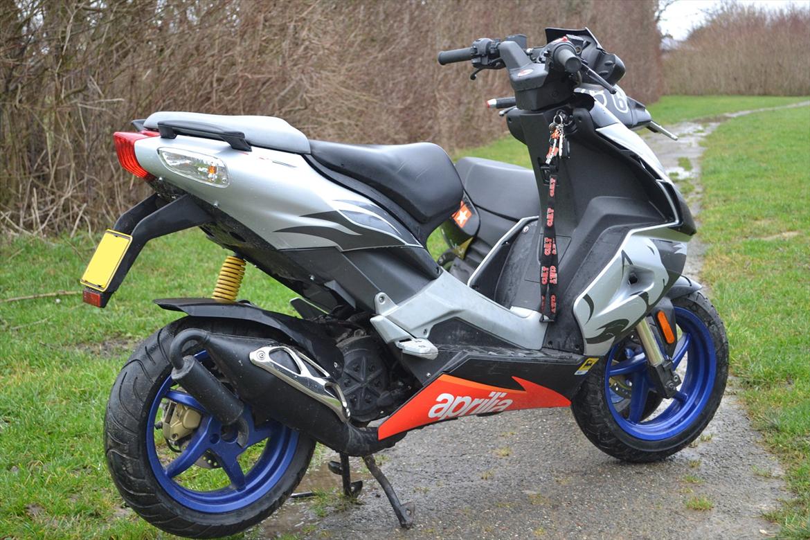 Aprilia Sr50 R Factory "Gribben" billede 2
