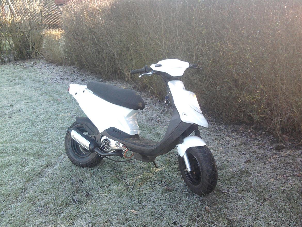 PGO hot 50 billede 3