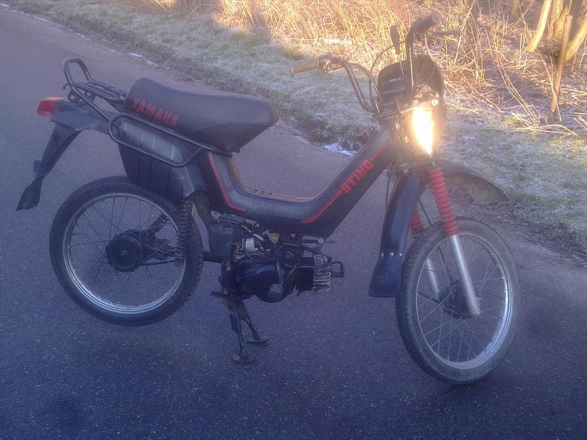 Yamaha sting sg50  billede 1