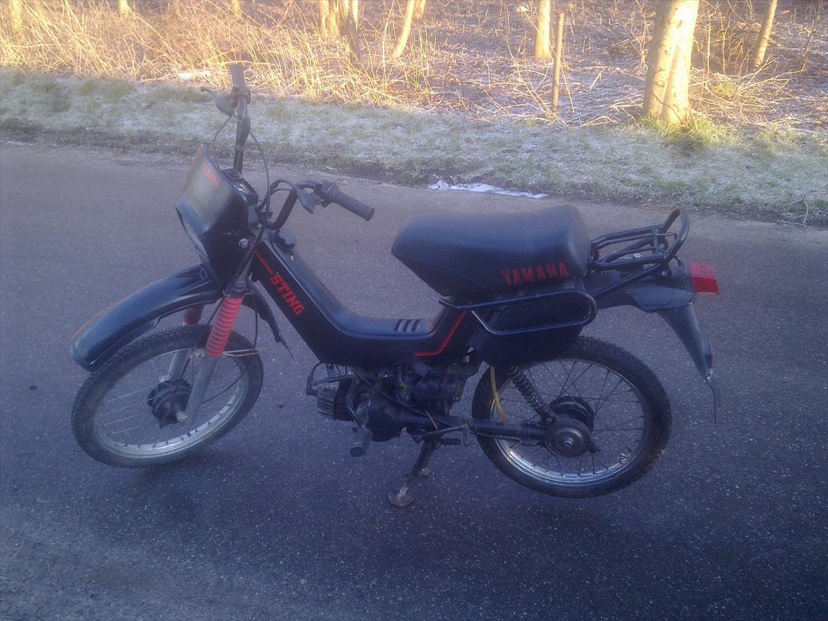 Yamaha sting sg50  billede 2