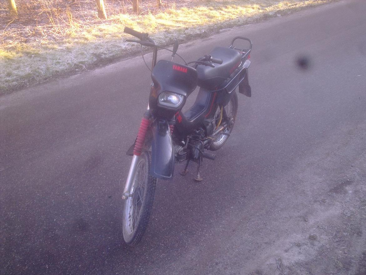 Yamaha sting sg50  billede 3