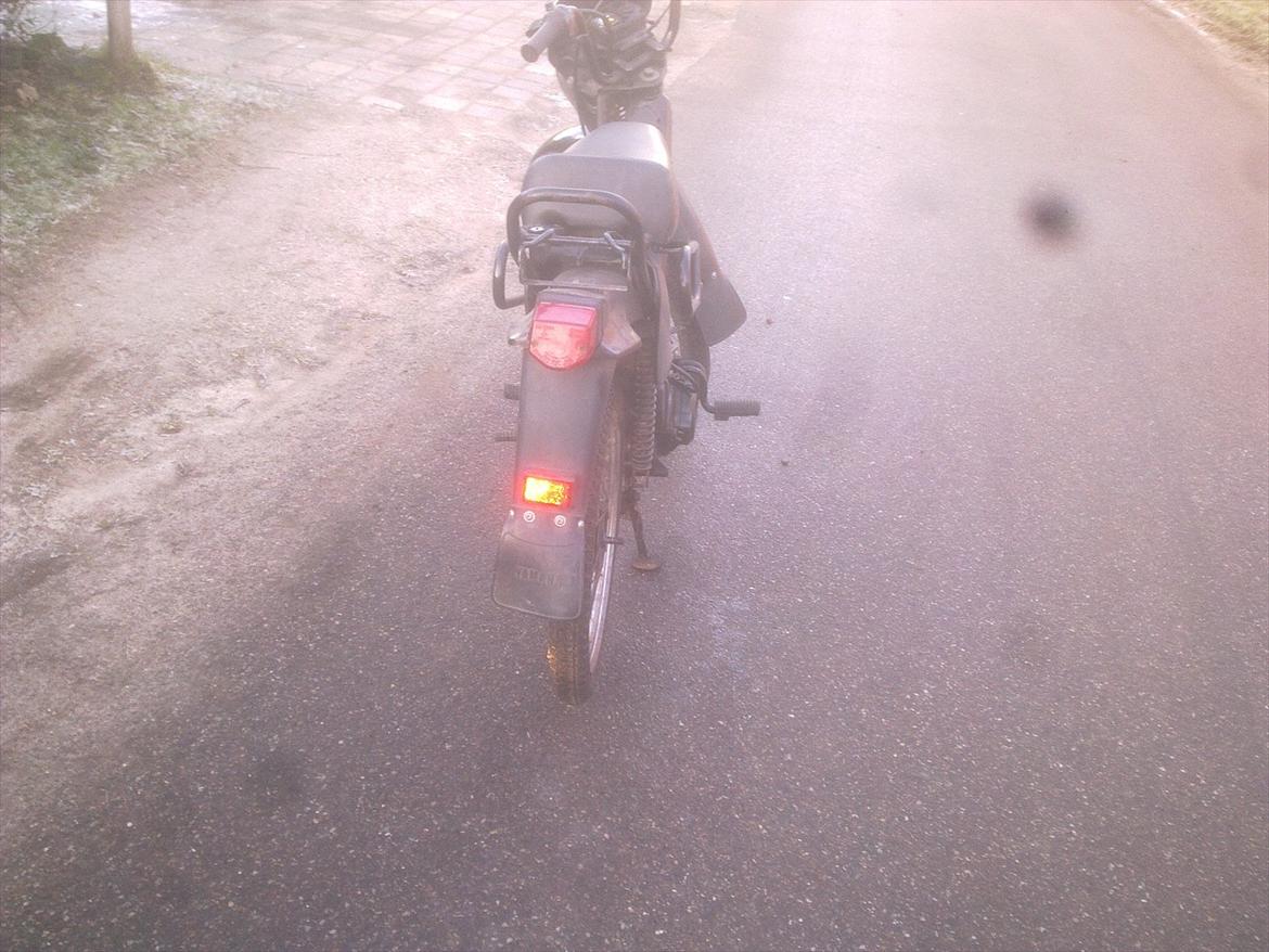 Yamaha sting sg50  billede 6