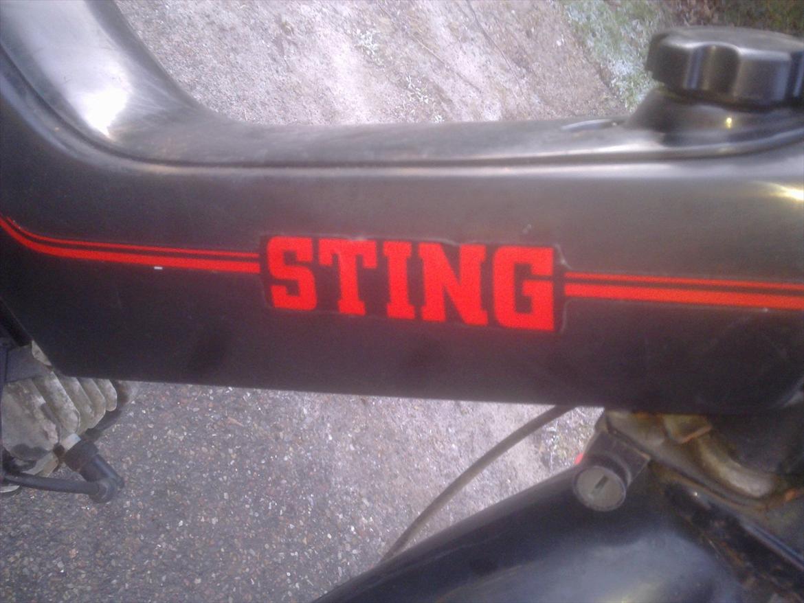 Yamaha sting sg50  billede 8