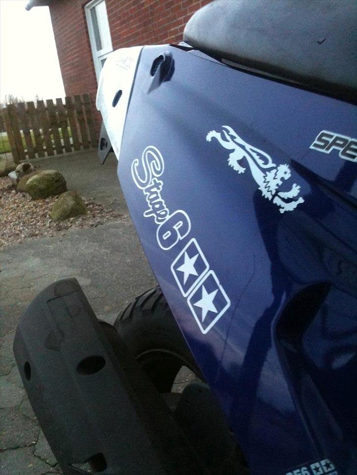 PGO Hot 50 - Hverdags - Sideksjold med Malossi stickers. billede 3