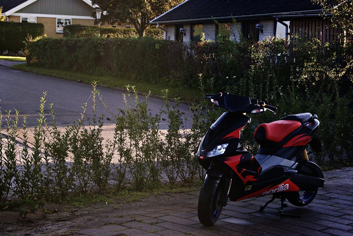 Aprilia Sr50R Factory billede 18