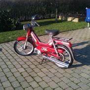 Puch Maxi P1