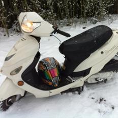 TMS Classis "stinus"