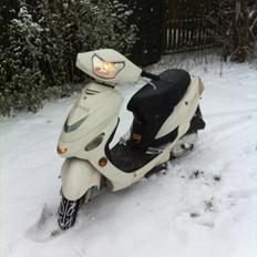 TMS Classis "stinus"