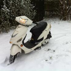 TMS Classis "stinus"