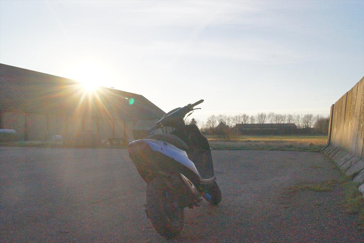 PGO Hot 50 billede 12