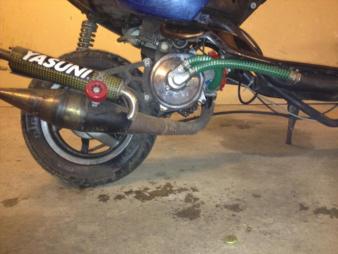 Aprilia Sonic LC SD - Den dejlige motor. billede 13