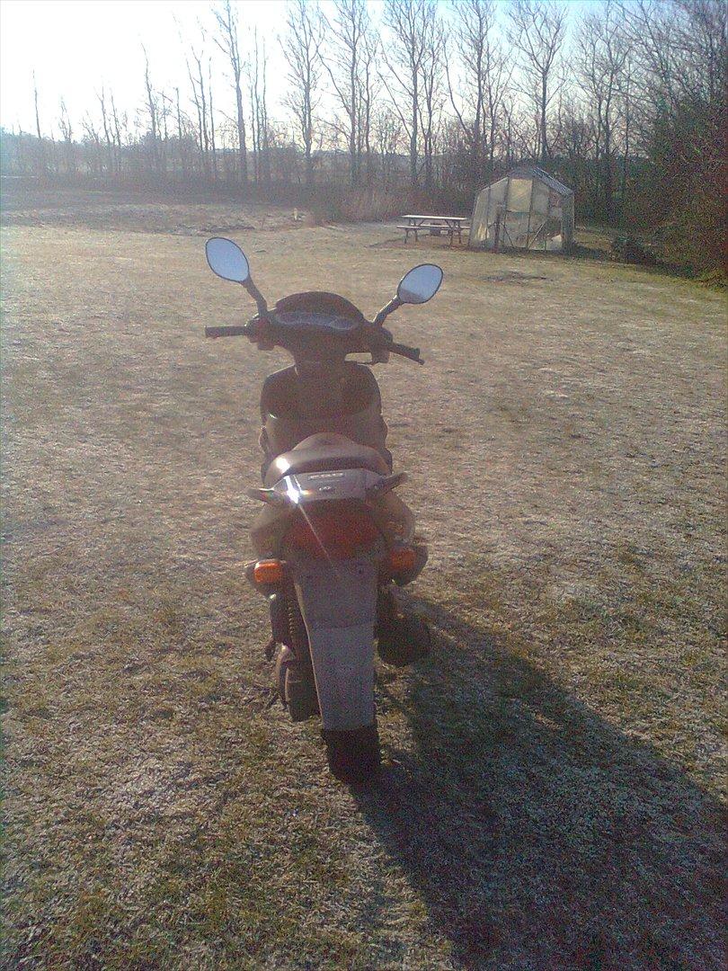 PGO Dr Big billede 4