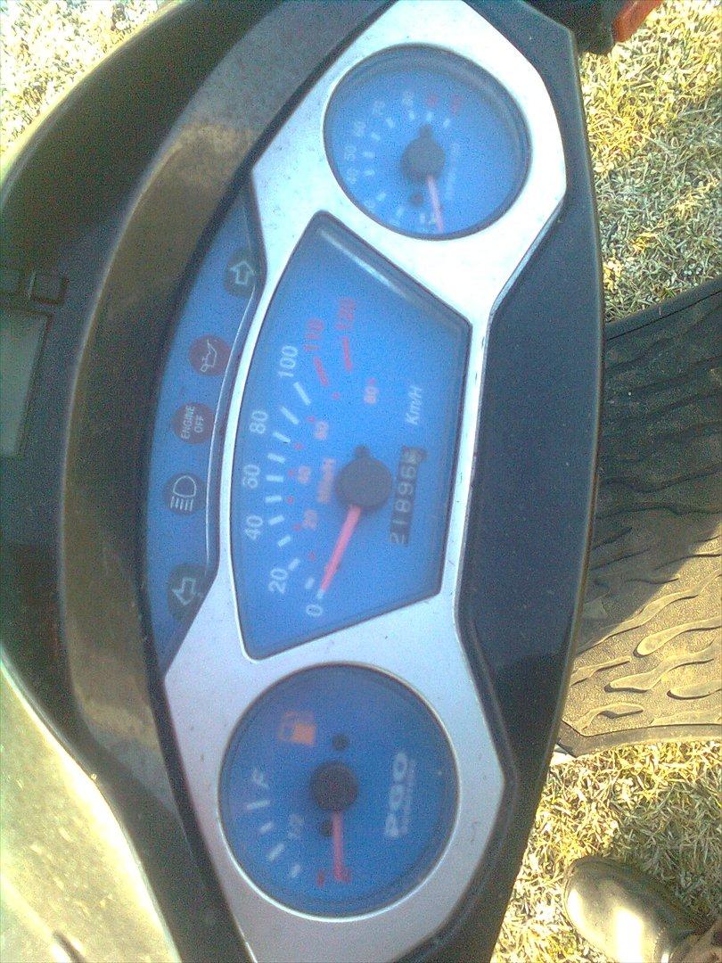 PGO Dr Big billede 5