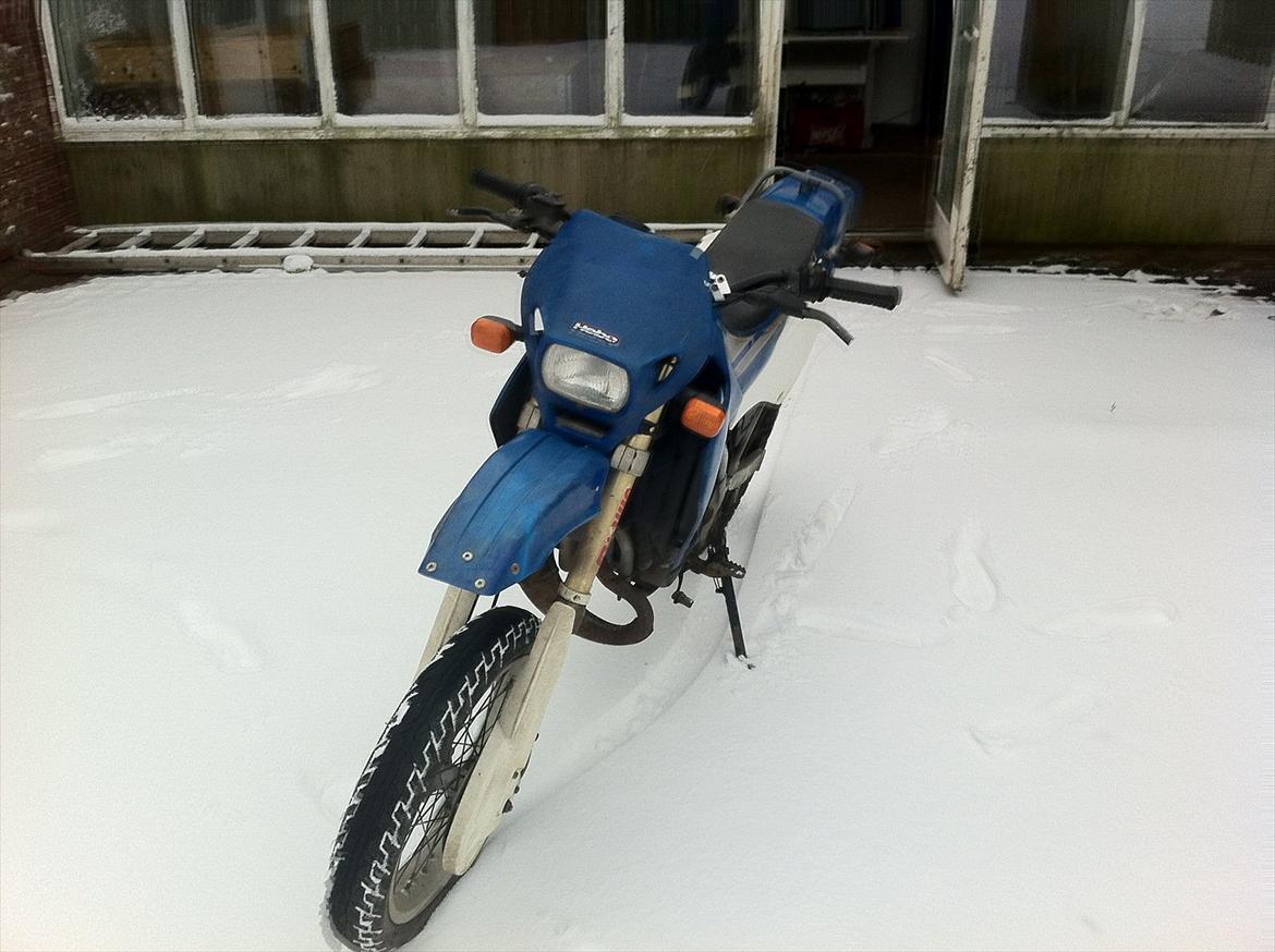 Suzuki SMX billede 2